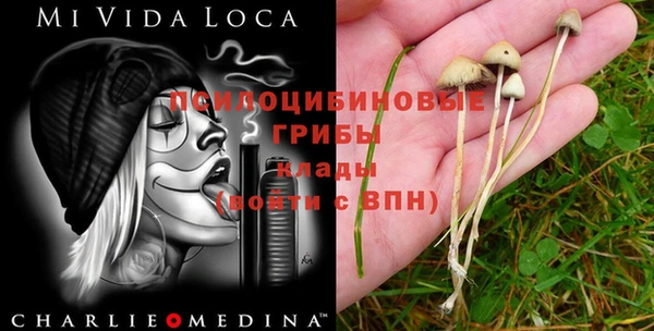 меф Бородино