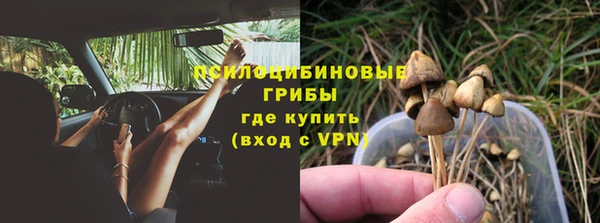 круглые Бронницы