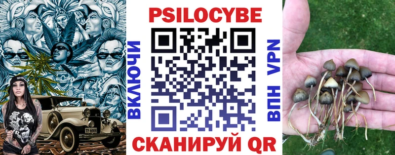 Псилоцибиновые грибы мицелий  Выборг 